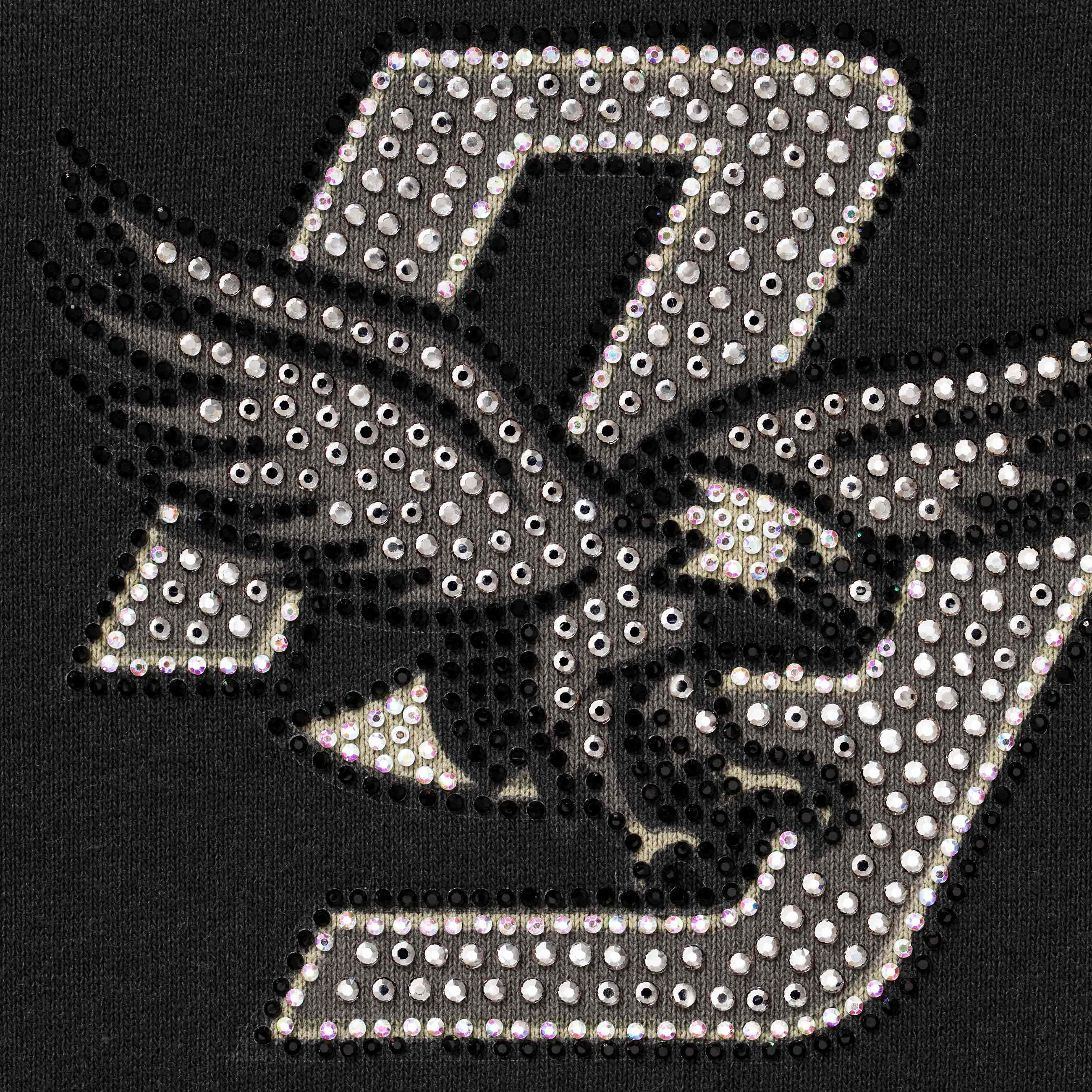Rhinestone Eagle Hooded Sweatshirt view 9